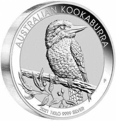 Kookaburra 2019